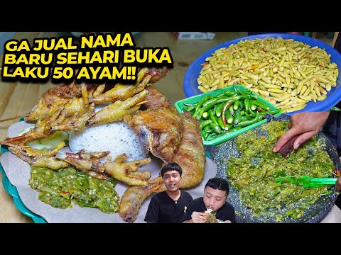 BARU BUKA ABIS 50 AYAM!! APOS SUKSES GA JUAL NAMA!
