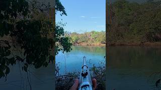 JAVALI NO RIO #javalibrasil #caçadejavali #hunt #hunting #caca #wildlife #wildanimals #wildboar