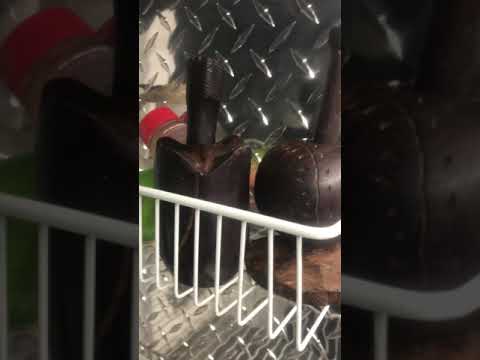 Troke de Mariscos, Lonchera Food truck , 2000 Diesel Freighliner