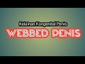 WEBBED P3N S APAKAH BISA DI SUNAT
