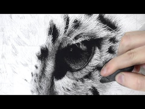 How To Draw A Realistic Animal Eye / Full Tutorial