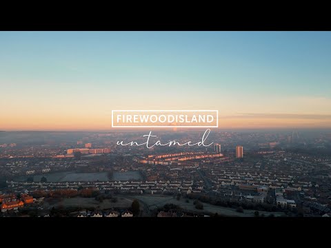 Untamed (Official Music Video) | Firewoodisland
