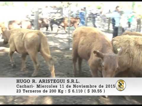 11-11-15 Venta de Macho - Hugo R. Aristegui y Cia S.R.L. - Cacharì.