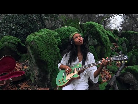 Moss Melodies (2 hours) - Healing Guitar Frequencies - Become One With The Present Moment