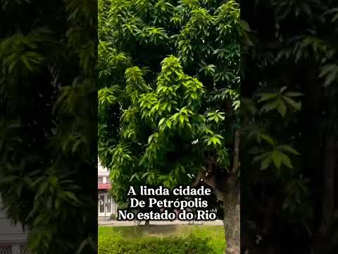 Petrópolis RJ ￼
