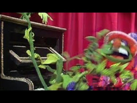All Songs of Dr. Teeth and the Electric Mayhem from Season 5 - A Compilation of The Muppet Show