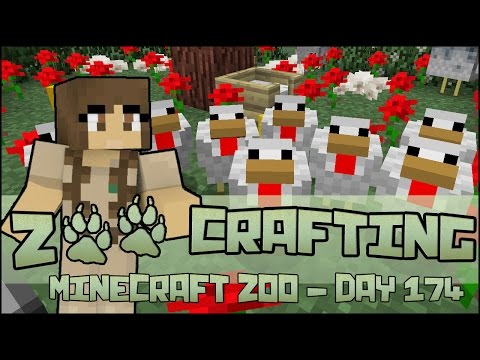 The Beaks of the Bird Encyclopedia!! 🐘 Zoo Crafting:  Season 2 - Episode #174