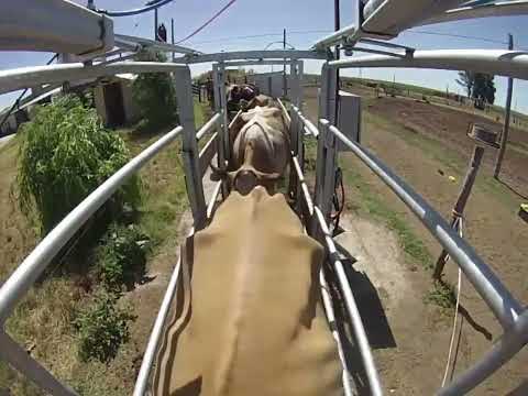 Apartador automático - Video 1