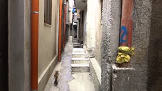A Stroll Through the Balata Refugee Camp