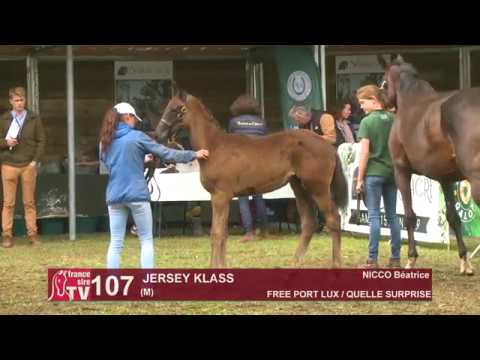 Sprinter Sacré Show 2019 : Lot 107 - JERSEY KLASS