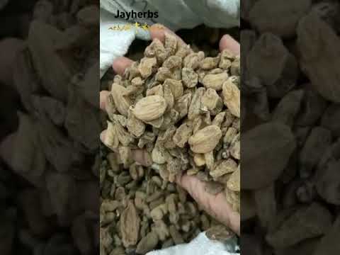 Loose Salam Mishri