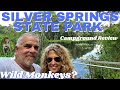 SILVER SPRINGS STATE PARK TOUR Silverspringsstatepark