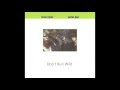Don't Run Wild - The Del Fuegos