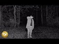Sef - Hart Van Een Kind (prod. Morgan Avenue & Yousef Gnaoui)