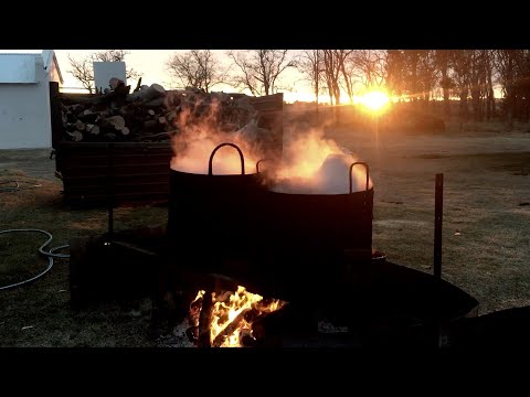 Carneada en El Rosario