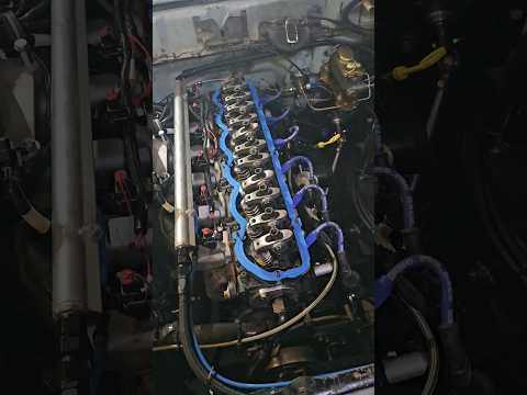 Ford 300 inline 6 turbo build with holley EFI, LS coils. First start after assembly.