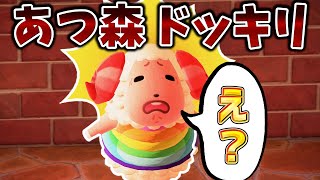 【あつ森ドッキリ】友達にちゃちゃまるをプレゼントしてみた結果ｗｗｗ