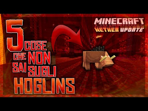 5 COSE CHE NON SAI SUGLI HOGLINS DI MINECRAFT 1.16