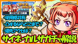【いつもの】「カルザ」「サイネ」ガチャは引くべきか？【パワフルアドベンチャーズ】【#パワアド 】