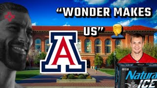 University of Arizona: Honest Review