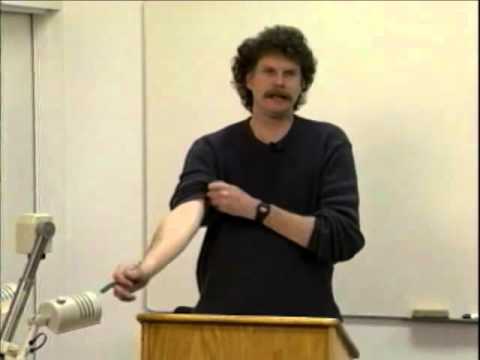 Philosophy of Science Lecture #9: The Strange Case of QuantumTheory