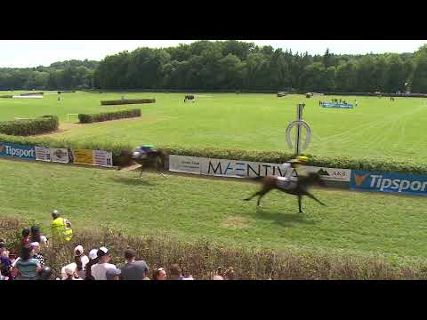 Dostihy Netolice 13. 8. 2023 - 4. dostih - Cena města Netolic