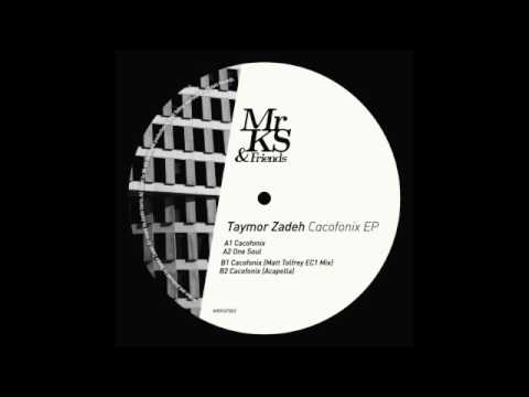 MRKSF002 Taymor Zadeh - One Soul
