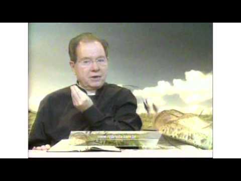 O Pão Nosso 8 Março 2016 - Pe. F. C. Cardoso