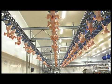 Antibiotika in Geflügelfleisch - Resistente Keime