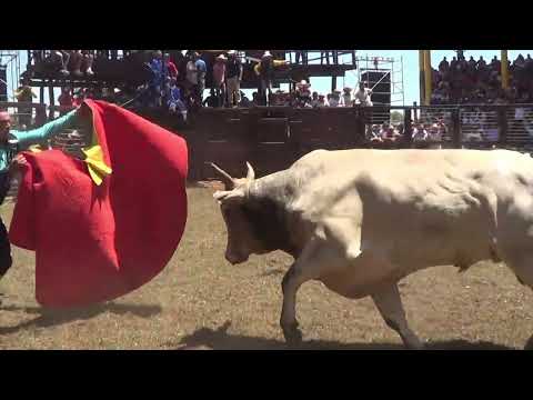 Torin 1° de Enero Patronales Mbocayaty 2025