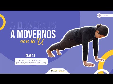 Fortalecimiento brazos, hombros y espalda