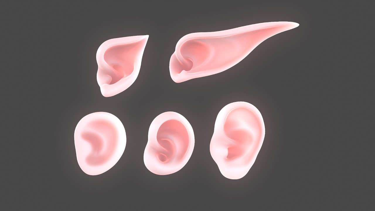 Versatile Ear Base Mesh Pack - 5 Stylized and Realistic Ears 3D Model