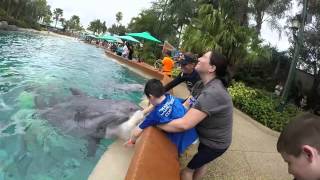 Day 4 Make-A-Wish Sea World in Orlando, Florida!