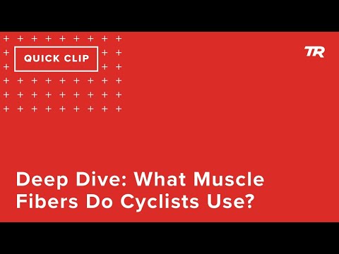 Deep Dive: What Muscle Fibers Do Cyclists Use? (Ask a Cycling Coach 316)