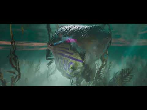 15th DMZ Docs | 연어의 거친 고향길 | Wild Summon Trailer 예고편