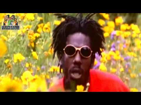 Wous - Sunshine after the Funk | 1 Hour Extended Videoclip