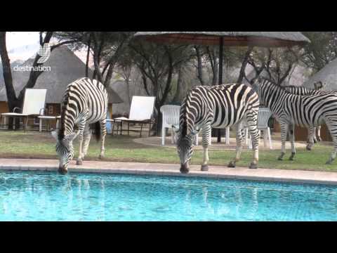 Heia Safari Ranch - Johannesburg
