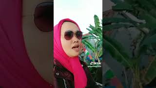 Download lagu VIDIO LIPSI sayang lembut sikapmu mp3