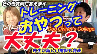 【よくあるしつけの質問に答えます】池田先生の新たな挑戦も発表します。犬のしつけ。甘噛み　吠え　咬みつき解決にはドッグビヘイビアリズムが欧米基準！間違ったトレーニングの前に一度見てみてね。
