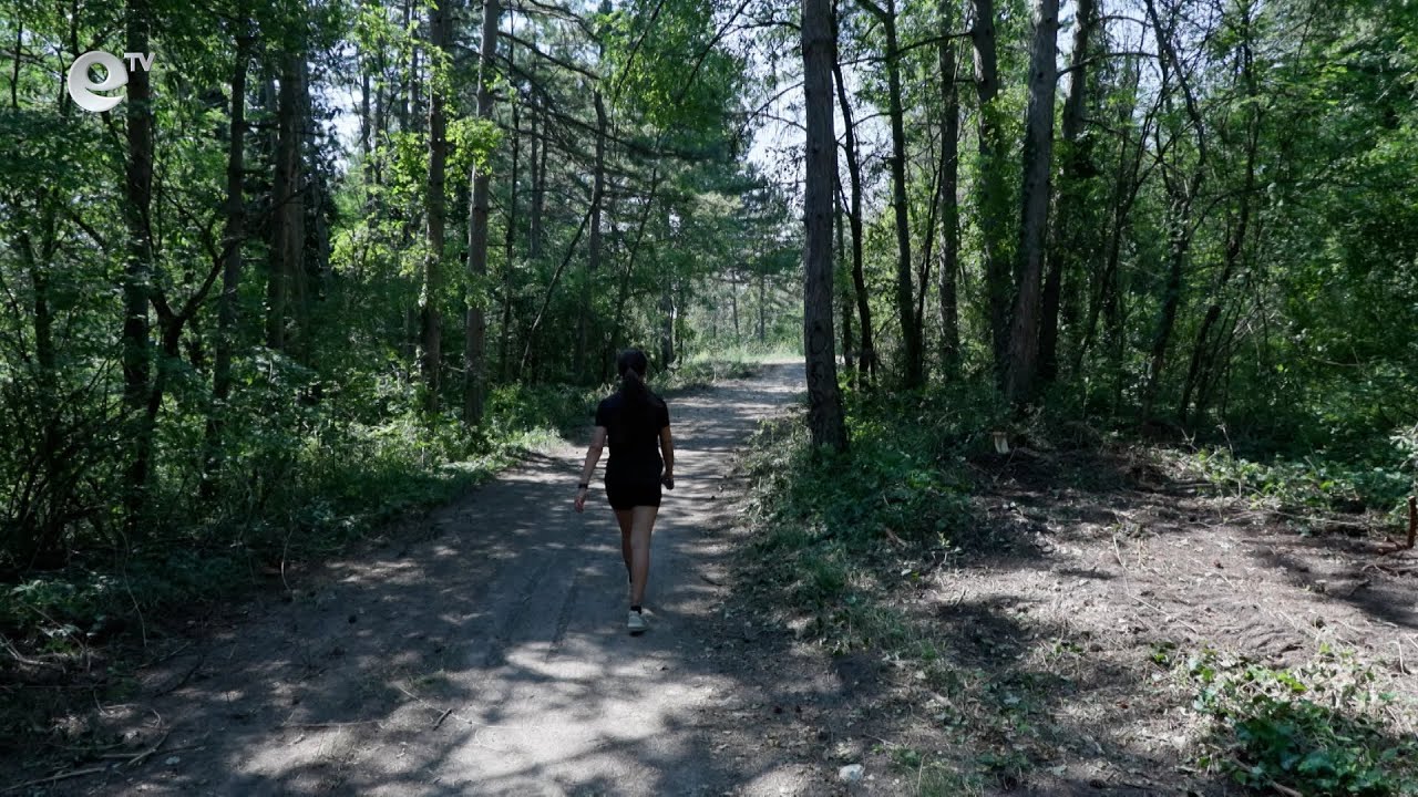 Реконструират алеите в гората на хасковския парк "Ямача"