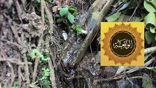 Download lagu Lantunan Al-Waqiah 10 Jam Nonstop | Al Waqiah pembuka rezeki dijauhkan dari kemiskinan mp3
