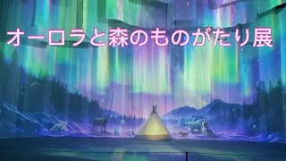 真夏にオーロラを見る旅へ!!オーロラと森のものがたり展😄