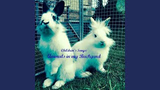 I Had a Little Rooster