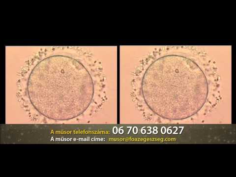 a genitális szemölcsök kolposzkópiája