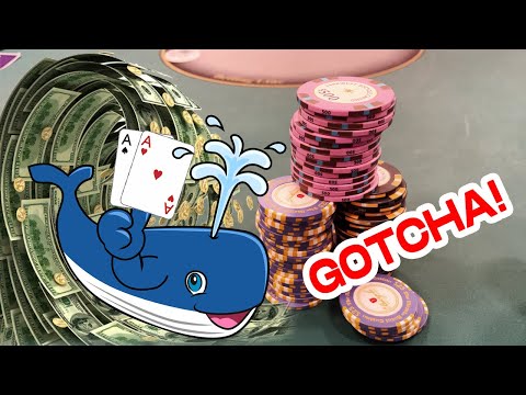 HILARIOUS WHALE TRICKS ME in High Stakes Session | Poker Vlog 23