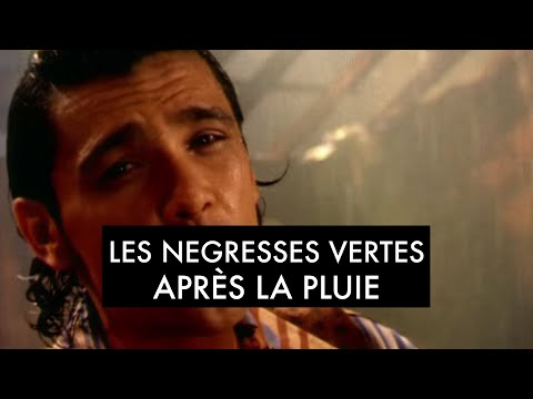 Les Négresses Vertes - Après La Pluie (Clip Officiel)