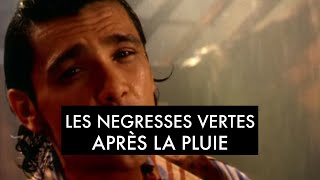 Les Négresses Vertes - Après La Pluie (Clip Officiel)