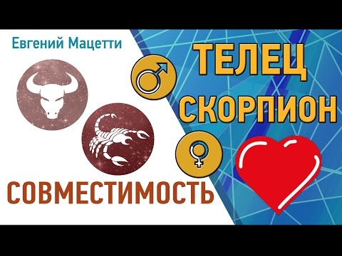 Как познакомиться с Тельцом