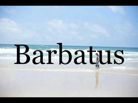 How To Pronounce Barbatus🌈🌈🌈🌈🌈🌈Pronunciation Of Barbatus