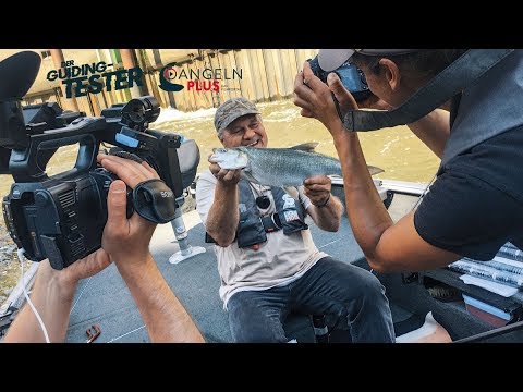 Angeln im Hamburger Hafen | Der Guiding-Tester | ANGELNplus